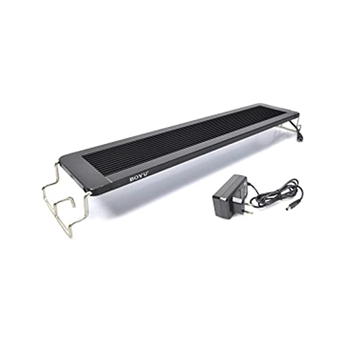 BOYU CB-60 LED