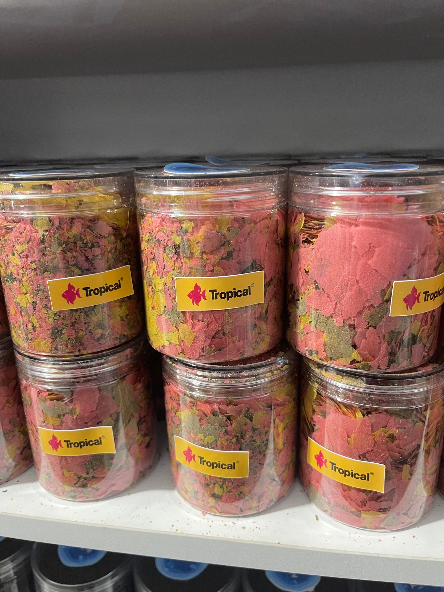 Paillet tropical boitte 300/700ml